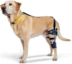 Balto Ligatek Adjustable Hinged Dog Knee Brace, X-Large- Left