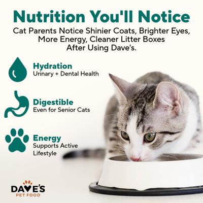 Show full view: Dave's Pet Food Naturally Healthy Grain-Free Turkey & Giblets Dinner Pate Wet Canned Cat Food, 12.5-oz, case of 12 slide 5 of 12