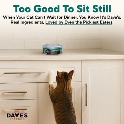 Show full view: Dave's Pet Food Naturally Healthy Grain-Free Turkey & Giblets Dinner Pate Wet Canned Cat Food, 5.5-oz can, case of 24 slide 6 of 12