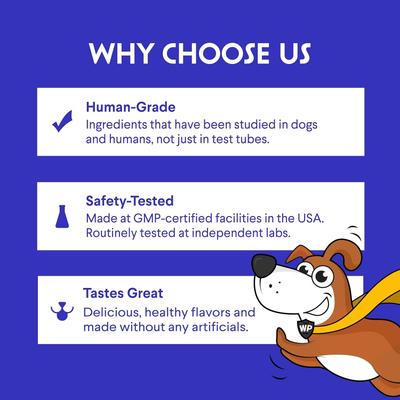 Show full view: Wonder Paws Superhero Turkey Tail Mushroom Powder Supplement for Dogs, 90-g jar slide 7 of 9