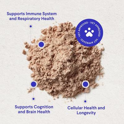 Show full view: Wonder Paws Superhero Turkey Tail Mushroom Powder Supplement for Dogs, 90-g jar slide 5 of 9