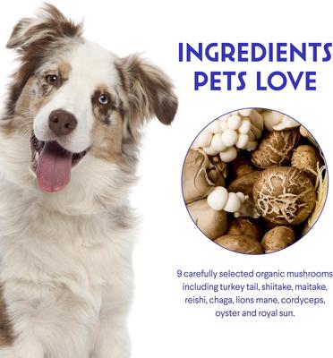 Show full view: Wonder Paws Superhero Turkey Tail Mushroom Powder Supplement for Dogs, 90-g jar slide 6 of 9