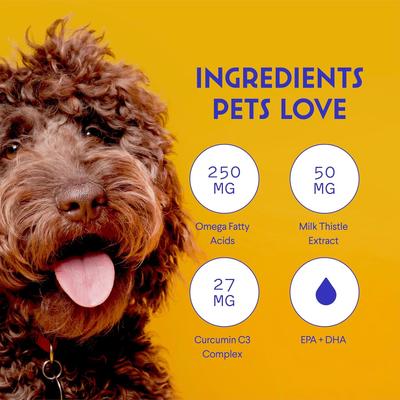 Show full view: Wonder Paws Superhero Milk Thistle Liver & Kidney Health Liquid Supplement for Dogs, 2-fl oz bottle slide 6 of 10