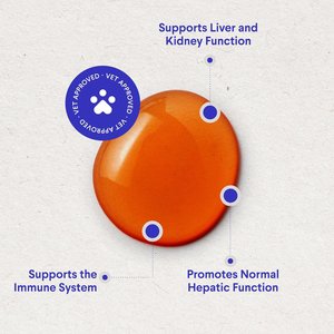Wonder Paws Superhero Milk Thistle Liver & Kidney Health Liquid Supplement for Dogs, 2-fl oz bottle