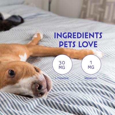 Show full view: Wonder Paws Melatonin & L-Theanine Bacon Flavored Liquid Calming Supplement for Dogs, 2-fl oz bottle slide 6 of 11