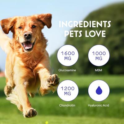 Show full view: Wonder Paws Glucosamine Liquid Joint Supplement for Dogs, 16-fl oz bottle slide 5 of 11