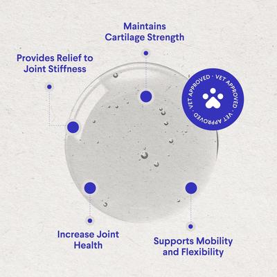 Show full view: Wonder Paws Glucosamine Liquid Joint Supplement for Dogs, 16-fl oz bottle slide 4 of 11