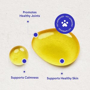 Wonder Paws Hemp Oil with Wild Salmon Oil, Calming Hemp Supplement for Dogs, 2-fl oz bottle