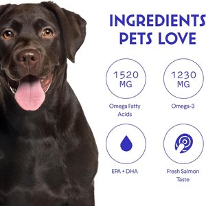 Wonder Paws Fish Oil Skin, Joint, Immune & Heart Health Liquid Supplement for Dogs, 16-fl oz bottle