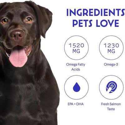 Show full view: Wonder Paws Fish Oil Skin, Joint, Immune & Heart Health Liquid Supplement for Dogs, 16-fl oz bottle slide 7 of 11