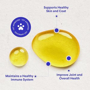 Wonder Paws Fish Oil Skin, Joint, Immune & Heart Health Liquid Supplement for Dogs, 16-fl oz bottle