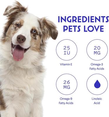 Show full view: Wonder Paws Skin & Coat Soft Chews Supplement for Dogs, 70 count slide 6 of 10