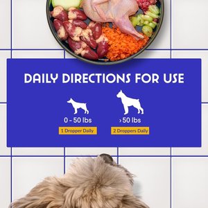 Wonder Paws Superhero Milk Thistle Liver & Kidney Health Liquid Supplement for Dogs, 2-fl oz bottle