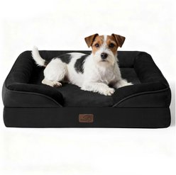 Bedsure Orthopedic Bolster Dog Sofa Bed with Removable Cover, Dark Black, Medium