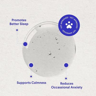 Show full view: Wonder Paws Melatonin & L-Theanine Bacon Flavored Liquid Calming Supplement for Dogs, 2-fl oz bottle slide 5 of 11