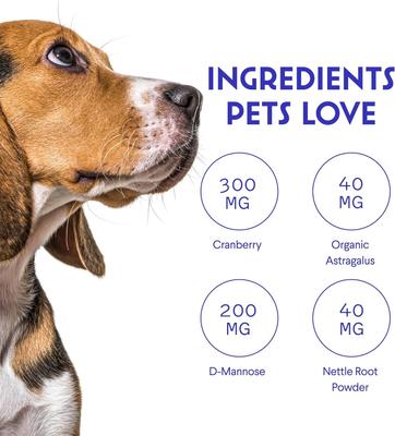 Show full view: Wonder Paws Cranberry Relief Kidney Support Supplement for Dogs, 2-oz bottle slide 6 of 10