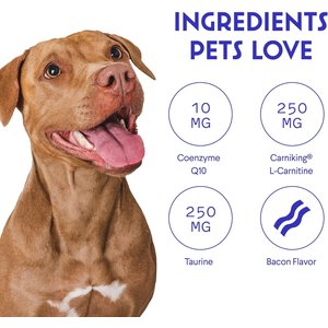 Wonder Paws Cardio Support Soft Chews Supplement for Dogs, 90 count