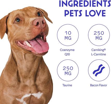 Show full view: Wonder Paws Cardio Support Soft Chews Supplement for Dogs, 90 count slide 6 of 10