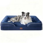 Best Dog Couches & Sofa Beds