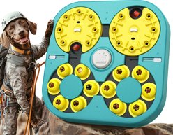 KADTC Adventurer 5 In 1 Puzzle Dog Toy, Green