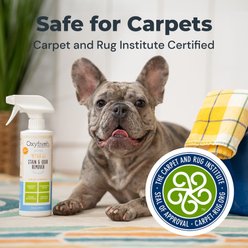 Oxyfresh Advanced All-Surface Pet Stain Remover & Urine Odor Eliminator, 16-fl oz bottle slide 2 of 9