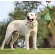 Show in main carousel: Deo Doo Dog Poop Bags with Handles, Unscented, 300 count, Green slide 5 of 6