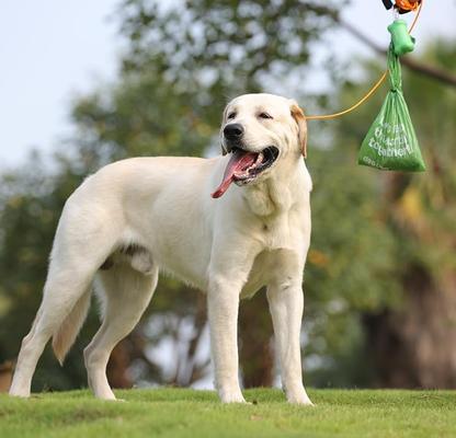 Show full view: Deo Doo Dog Poop Bags with Handles, Unscented, 300 count, Green slide 6 of 7