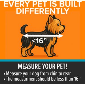 K&H Pet Products Travel Dog Bike Basket, Large