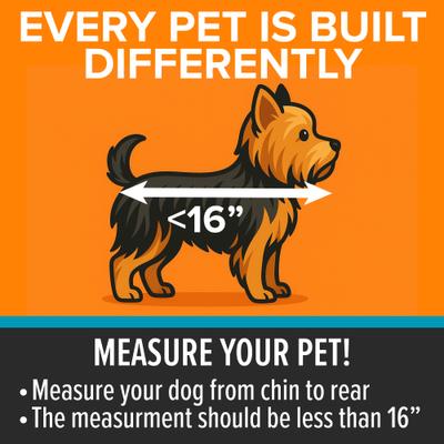 Show full view: K&H Pet Products Travel Dog Bike Basket, Large slide 6 of 12