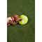 Show in main carousel: Wild One Tennis Ball Plush Dog Toy slide 5 of 5