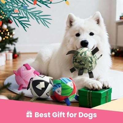 Show full view: Nocciola Modern Princess Pink Soccer Interactive Durable Tug & Fetch Squeaky Ball Dog Toy, Neon Pink Striker, Medium: 6-in slide 6 of 7