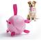 Show in main carousel: Nocciola Modern Princess Pink Soccer Interactive Durable Tug & Fetch Squeaky Ball Dog Toy, Neon Pink Striker, Medium: 6-in slide 1 of 7