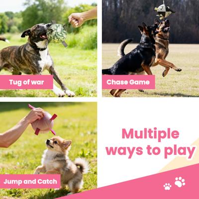 Show full view: Nocciola Modern Princess Pink Soccer Interactive Durable Tug & Fetch Squeaky Ball Dog Toy, Neon Pink Striker, Medium: 6-in slide 4 of 7