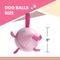 Show in main carousel: Nocciola Modern Princess Pink Soccer Interactive Durable Tug & Fetch Squeaky Ball Dog Toy, Neon Pink Striker, Medium: 6-in slide 3 of 7