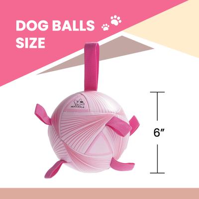 Show full view: Nocciola Modern Princess Pink Soccer Interactive Durable Tug & Fetch Squeaky Ball Dog Toy, Neon Pink Striker, Medium: 6-in slide 3 of 7