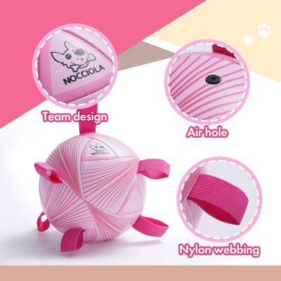 Show full view: Nocciola Modern Princess Pink Soccer Interactive Durable Tug & Fetch Squeaky Ball Dog Toy, Neon Pink Striker, Medium: 6-in slide 2 of 7