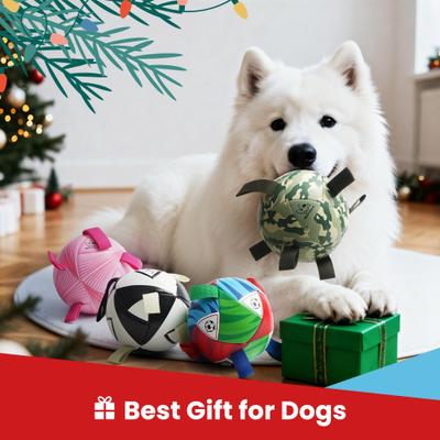 Show full view: Nocciola PIFA 2026 World Cup Soccer Interactive Durable Tug & Fetch Squeaky Ball Dog Toy, Multicolor Edition, Medium: 6-in slide 6 of 6