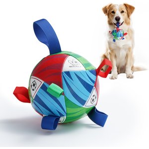 Squishy Face Studio Hond Oefening Speelgoed Flirt Pole V2 met Paars/Blauw Lokken