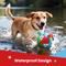 Show in main carousel: Nocciola PIFA 2026 World Cup Soccer Interactive Durable Tug & Fetch Squeaky Ball Dog Toy, Multicolor Edition, Medium: 6-in slide 5 of 6