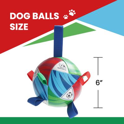 Show full view: Nocciola PIFA 2026 World Cup Soccer Interactive Durable Tug & Fetch Squeaky Ball Dog Toy, Multicolor Edition, Medium: 6-in slide 3 of 6