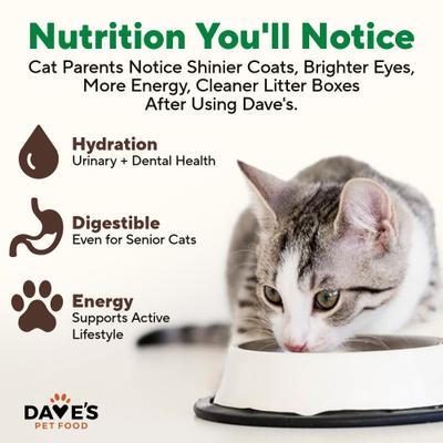 Show full view: Dave's Pet Food Naturally Healthy Grain-Free Turkey Dinner Pate Canned Wet Cat Food, 5.5-oz can, case of 24 slide 5 of 12