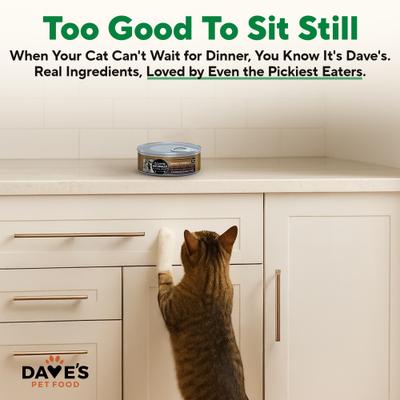 Show full view: Dave's Pet Food Naturally Healthy Grain-Free Turkey Dinner Pate Canned Wet Cat Food, 5.5-oz can, case of 24 slide 6 of 12