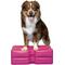 Show in main carousel: Blue-9 Propel Air Platform Canine Conditioning Dog Fitness Equipment & Accessories, Pink, 2 count slide 1 of 6