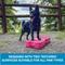 Show in main carousel: Blue-9 Propel Air Platform Canine Conditioning Dog Fitness Equipment & Accessories, Pink, 1 count slide 6 of 7