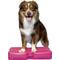 Show in main carousel: Blue-9 Propel Air Platform Canine Conditioning Dog Fitness Equipment & Accessories, Pink, 1 count slide 1 of 7