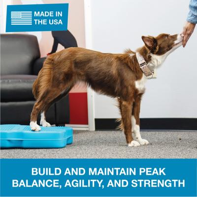 Show full view: Blue-9 Propel Air Platform Canine Conditioning Dog Fitness Equipment & Accessories, Pink, 1 count slide 4 of 7