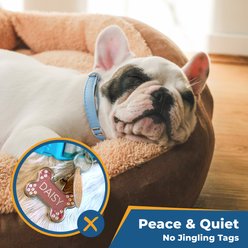 GoTags Personalized Silicone Bone Dog ID Tag, Large, Blue slide 2 of 7