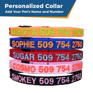 GoTags Nylon Personalized Breakaway Cat Collar with Bell, Orange, 8 to 12-in neck, 1/2-in wide