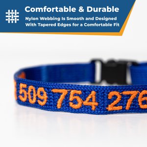 GoTags Nylon Personalized Breakaway Cat Collar with Bell, Orange, 8 to 12-in neck, 1/2-in wide