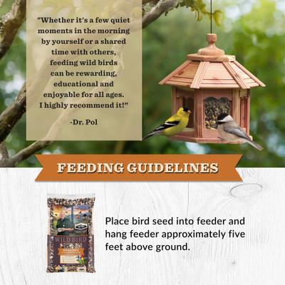 Show full view: Dr. Pol Healthy Songbird Blend Wild Bird Food, 10-lb bag slide 6 of 10